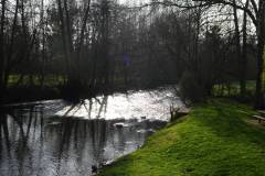 DSC02655