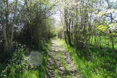 DSC06674